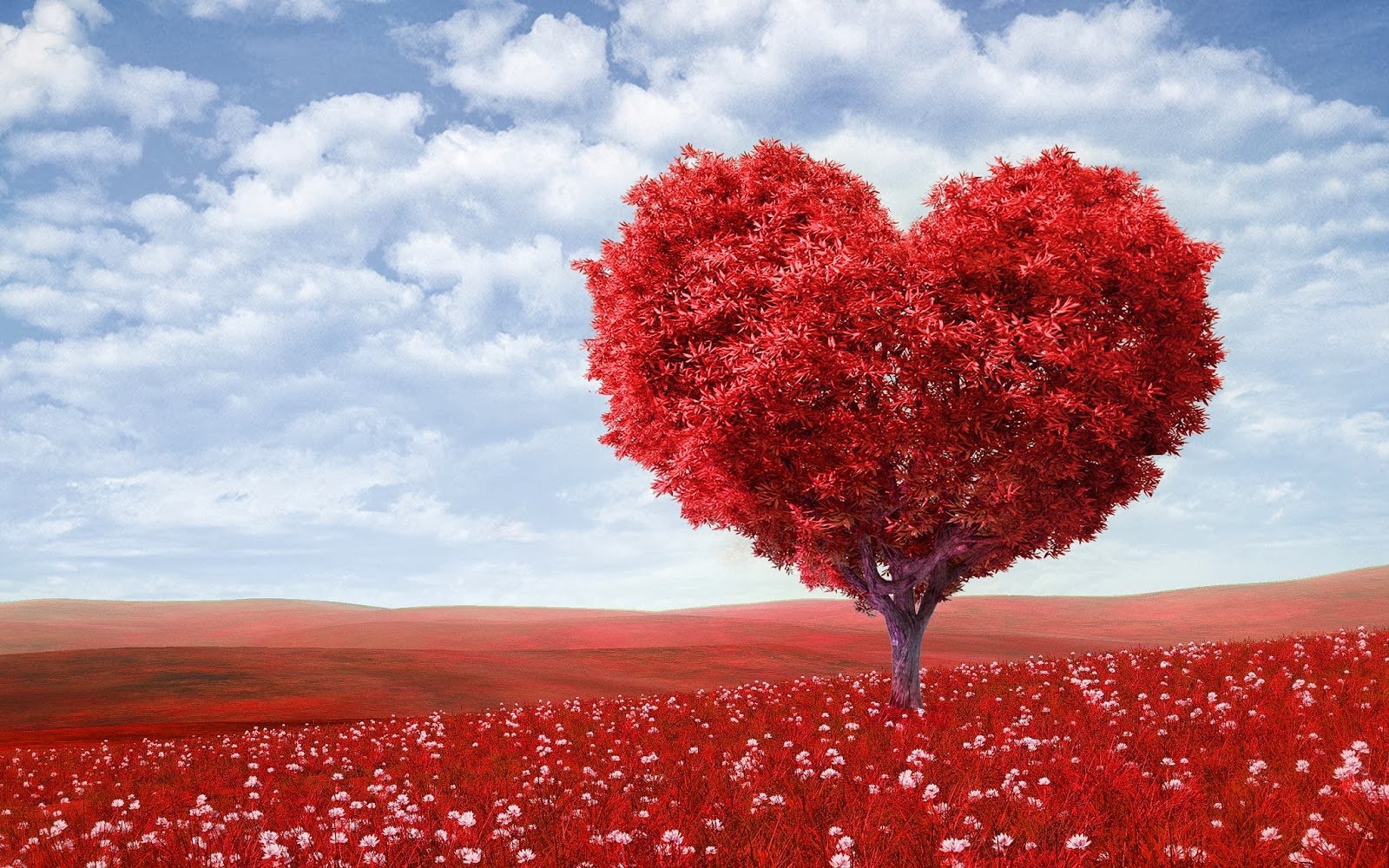 Beautiful Heart Tree for Your Lover Beautiful Heart Tree for Your Lover