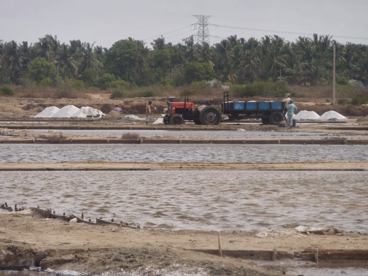 Kalpitiya au Sri Lanka