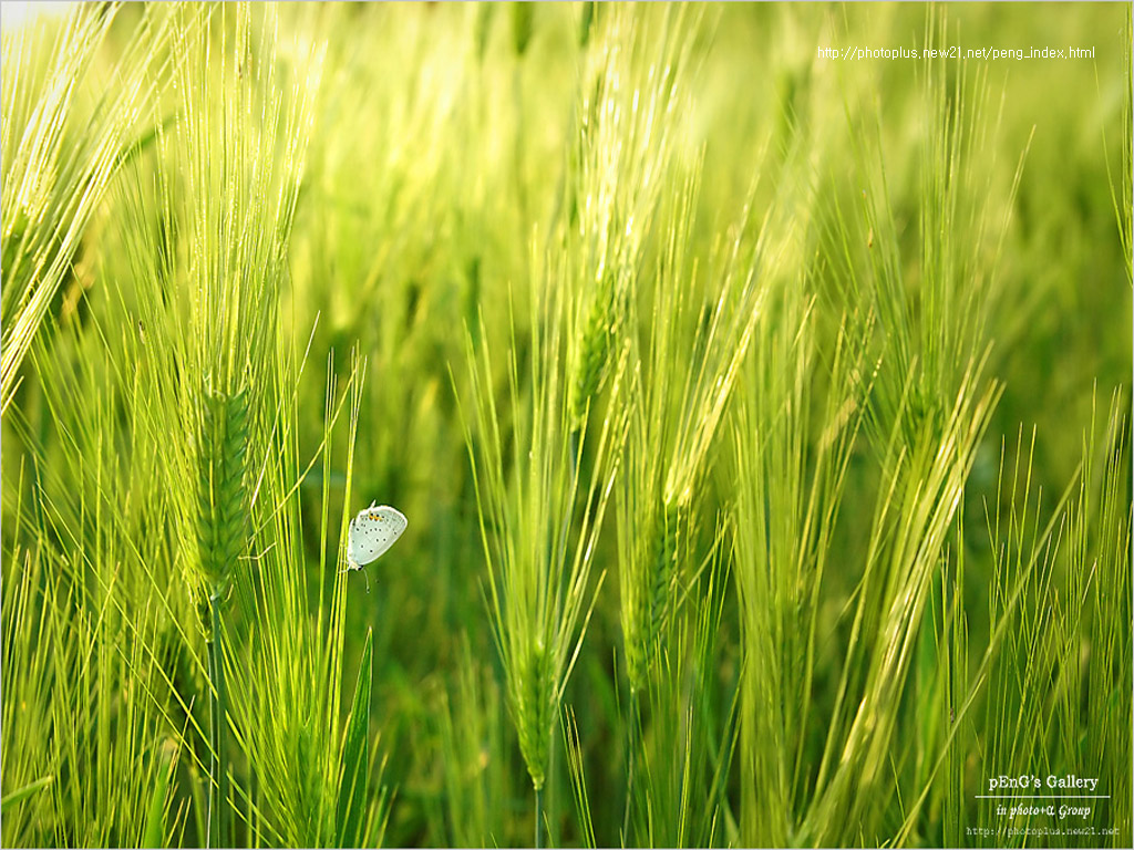 jobs rencontres bordeaux