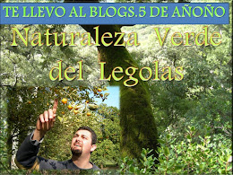 NATURALEZA VERDE DEL LEGOLAS