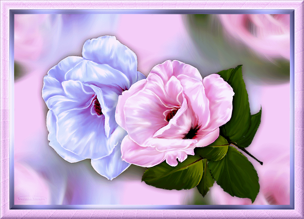 ® Colección de Gifs ® GIFS DE FLORES