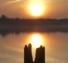 BAGSVÆRD SØ - APRIL