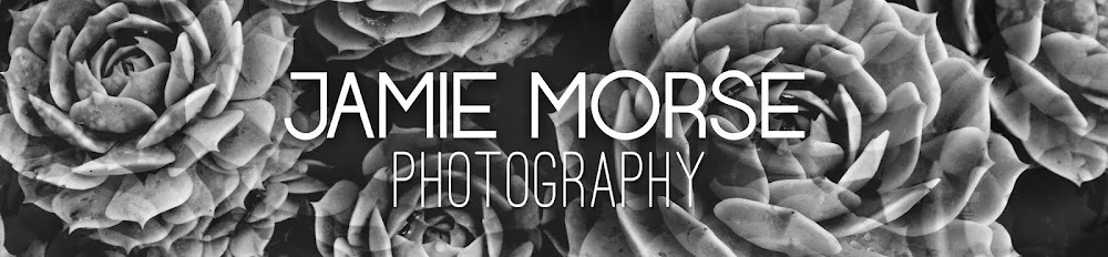Jamie Morse Photography