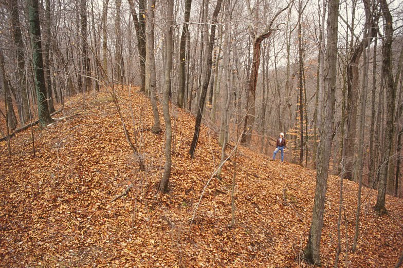 TOP TEN PLACES TO EXPERIENCE OHIO'S ANCIENT AMERICAN INDIAN LEGACY