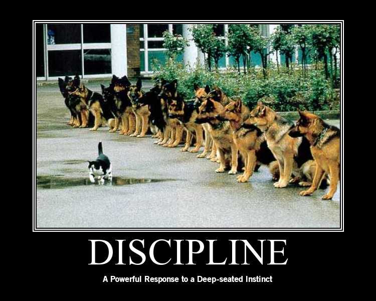 military discipline Military schools in michigan that are military schools in michigan (1 military school self-discipline is one of the most crucial qualities that the. military discipline Military schools in michigan that are military schools in michigan (1 military school self-discipline is one of the most crucial qualities that the.
