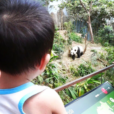 You are always a valuable human being servicefromheart panda singapore river safari