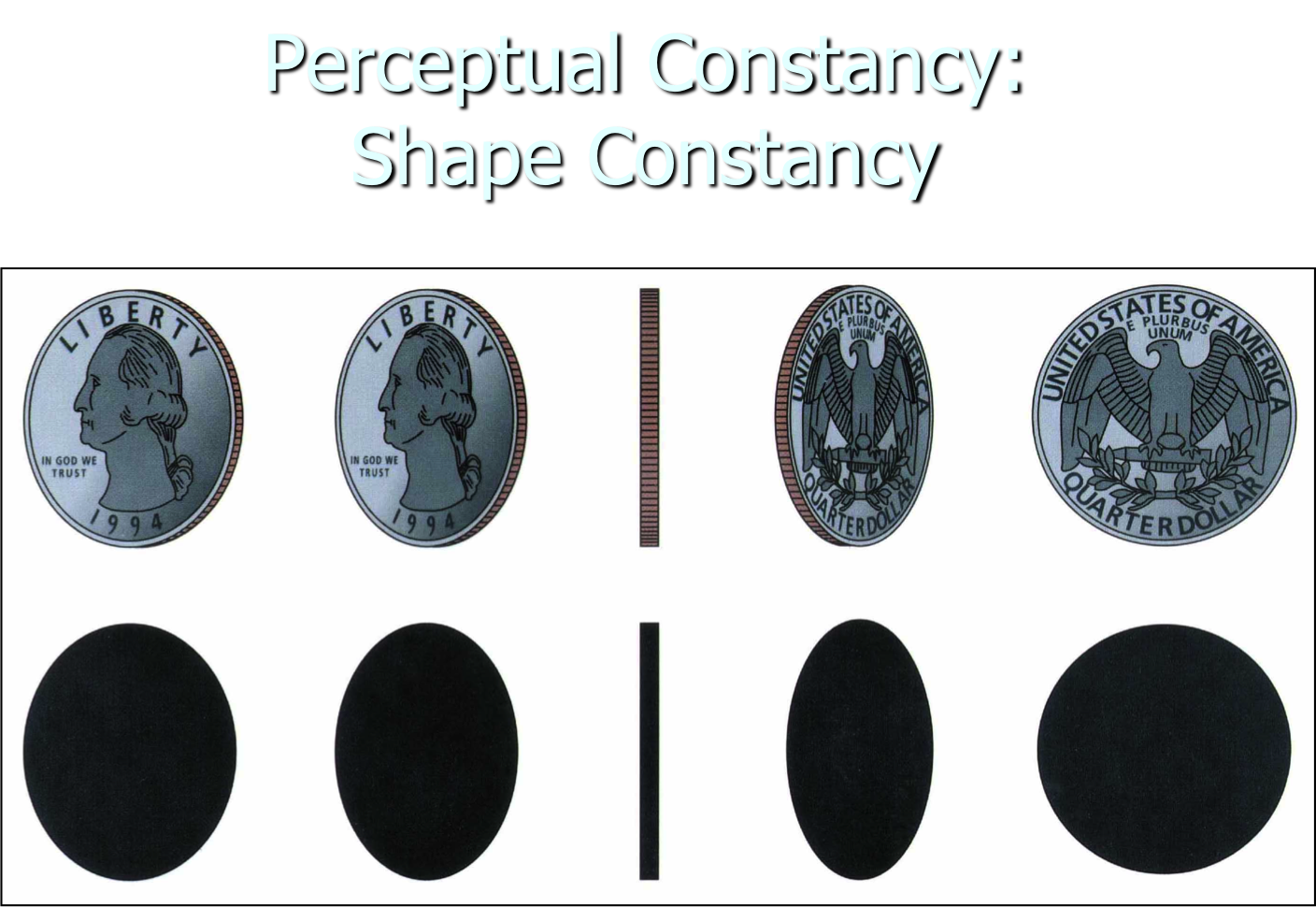 what is perceptual constancy