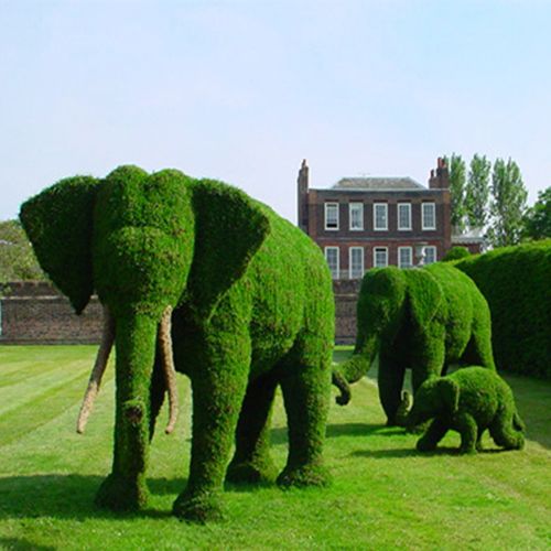The Big Bang Master: Amazing Topiary Art Wallpapers