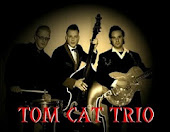 Tom cat trio