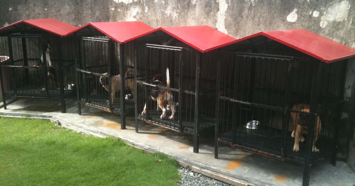 dog matting for sale