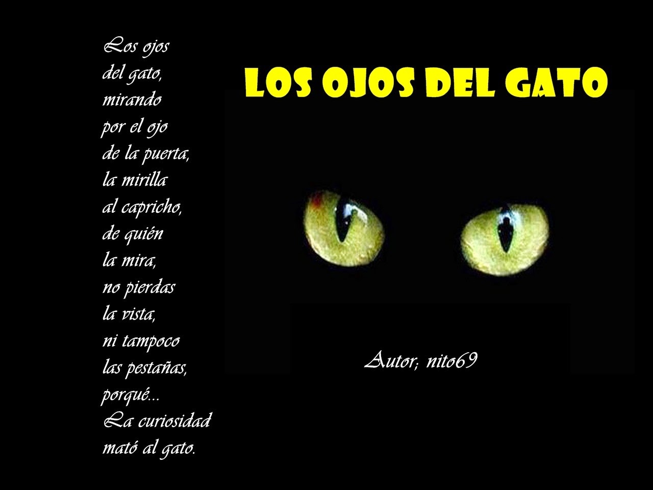 LOS OJOS DEL GATO