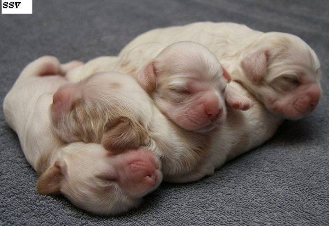 http://2.bp.blogspot.com/-9M17Bwo1M4c/T5Oiu85DvyI/AAAAAAAAAYc/6xHG8LY86bc/s1600/Windows%2BPhoto%2BViewer%2BWallpaper.jpg