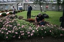 GARDENING AT THE SULEYMANIYE MOSQUE, ISTANBUL