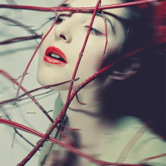 A fotografia fashion com um toque de surreal de Slevin Aaron Slevin Aaron (Bartosz Madej) deviantart fotografia fashion surreal artística