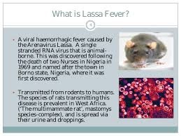 Figures You Won't Believe About Lassa Fever Figures You Won't Believe About Lassa Fever