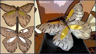 cojines en forma de mariposa-