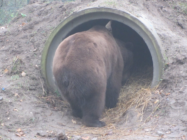 Bucher Im Drachenfeuer Der Rezension Storyhub Rezension