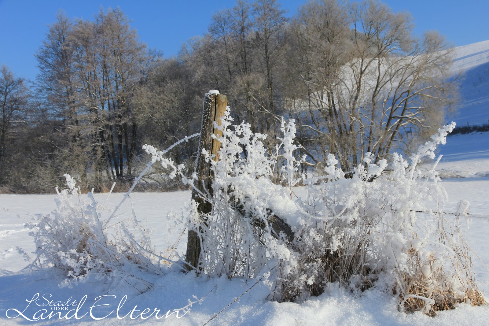 Http Www Daten Pruem De 710 Pdf