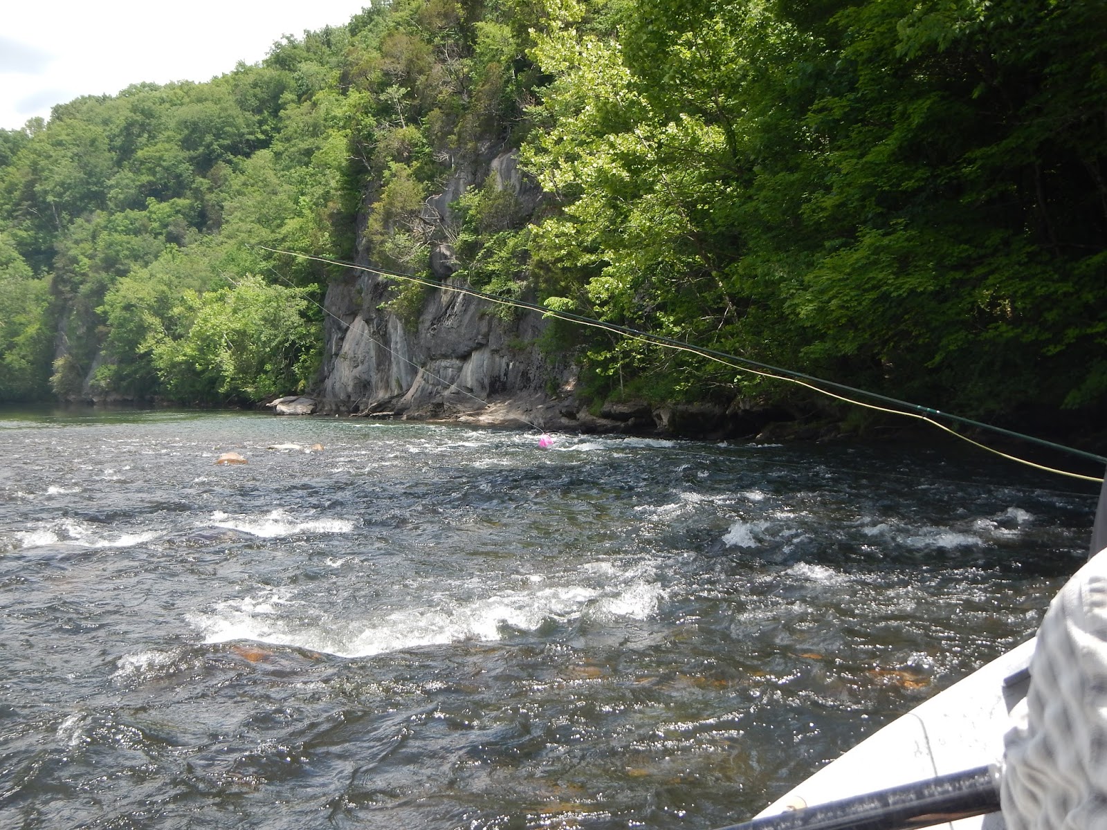 South Holston River Lodge Trip Report Delamere & Hopkins