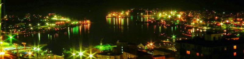  Ночная панорамная фотография Владивостока
