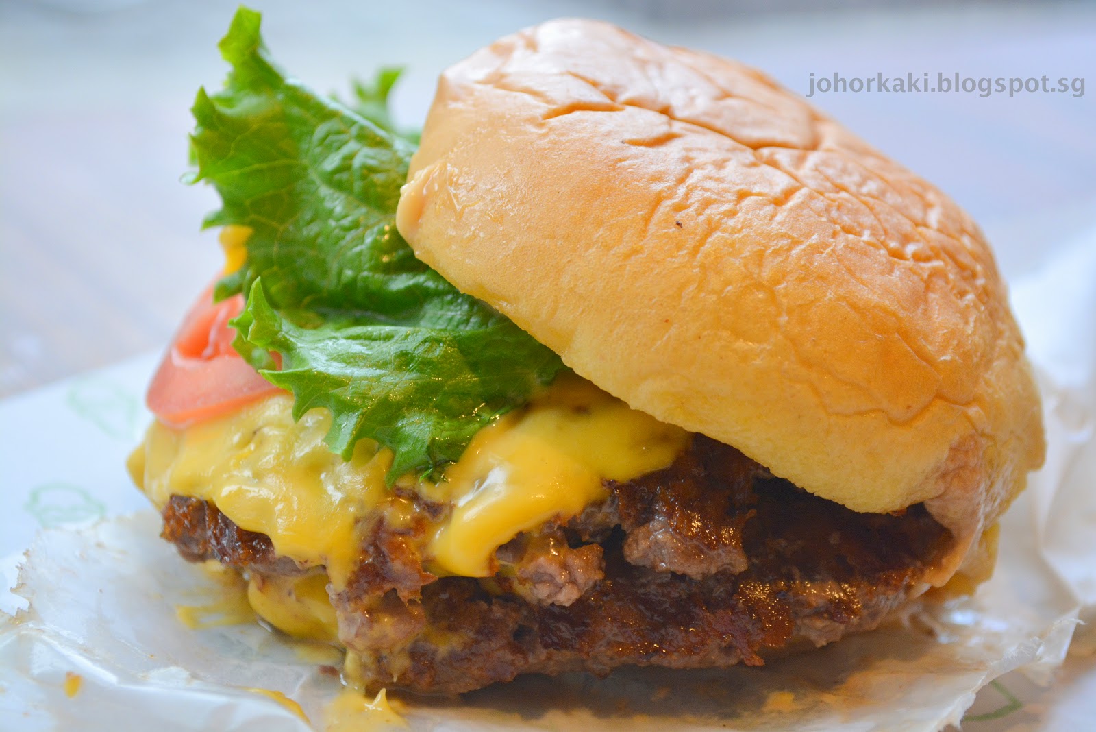 Shake Shack Burger in NYC New York Johor Kaki Travels for Food