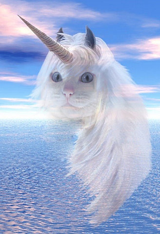 http://2.bp.blogspot.com/-9N1HystoPV0/UoGBKt5BYyI/AAAAAAAAEac/tqzgPzWf1wc/s1600/unicorn+cat.jpg