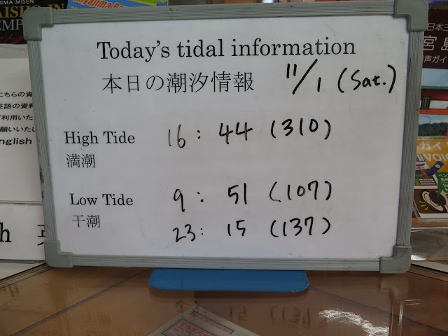 追風逐夢 廣島之海中大鳥居