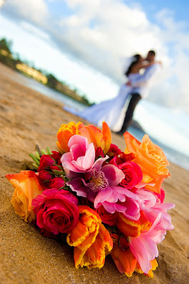 maui weddings, maui wedding planners, maui wedding photographers, hawaii wedding planning