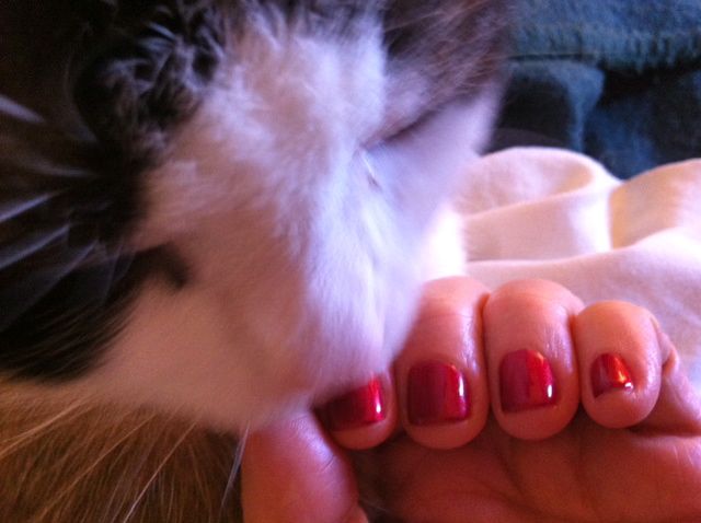 Here's Quincey helping me model my new Queen of Hearts red gel nails