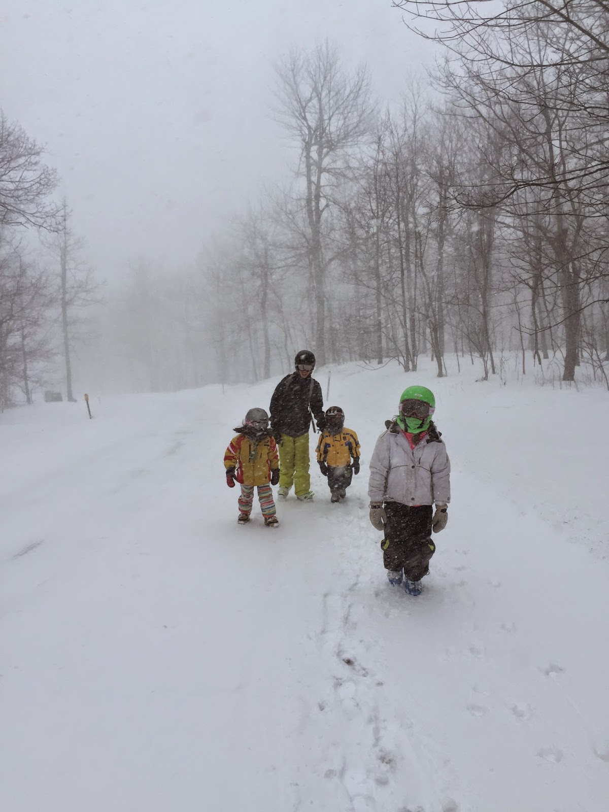 Snow Storm at Wintergreen Resort, Feb. 21, 2015 winter scene, hiking, snow, wind, whiteout, wintergreen, blue ridge mountains, Virginia