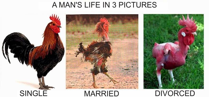 Single life vs married life   best of tens