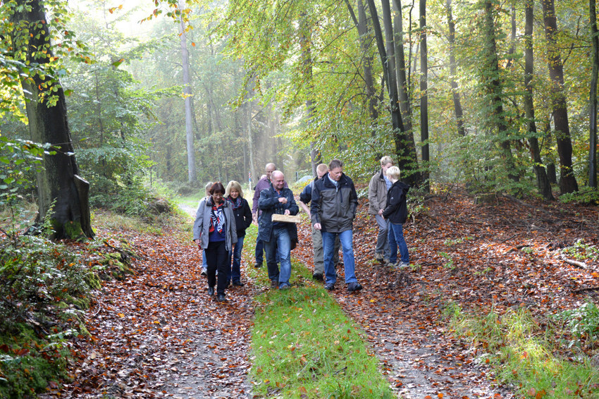 Schwarze Romantik Von Goya Bis Max Ernst Im Frankfurter Stadel
