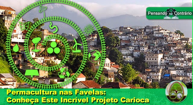 Permacultura nas Favelas: Conheça Este Incrível Projeto Carioca