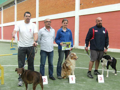 agility open montijo agility open montijo