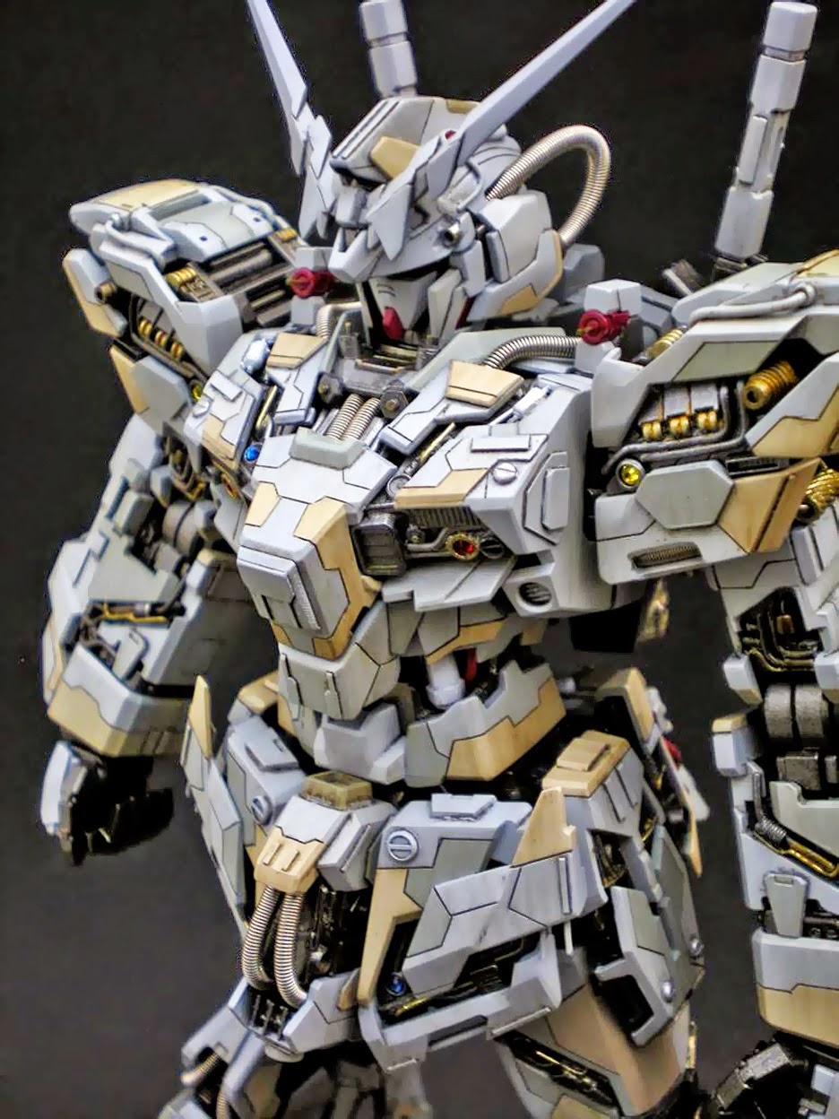 Gundam Family: MG 1/100 Unicorn Gundam Custom Build