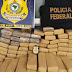 Polícia apreende 250 kg de maconha em Canindé