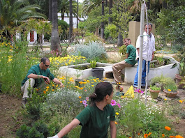 Jardín de Colecciones Didácticas