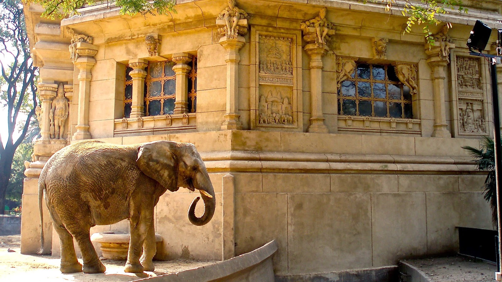 Zoo de Buenos Aires El LoBo BoBo,... un blog de viajes