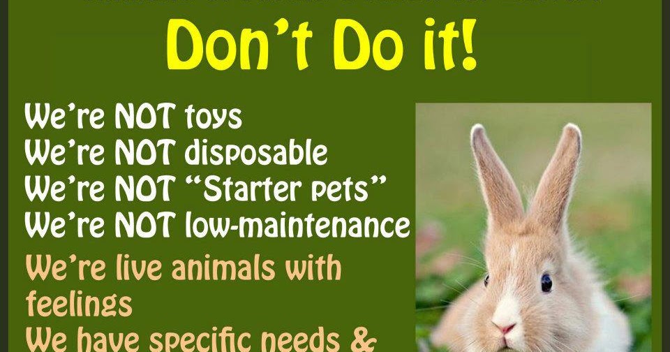 Rabbit Ramblings Monday Meme*day for Easter (and a poem)