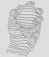 contour drawing examples contour drawing examples