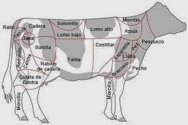 carne vacuno vaca despiece beefpoint bovina ternera comuns interna menjar beure tela anatoma espaldilla eua carnes aleta aprender lomo carniceria