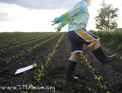 Boy with barn boots walking across baby corn rows 
