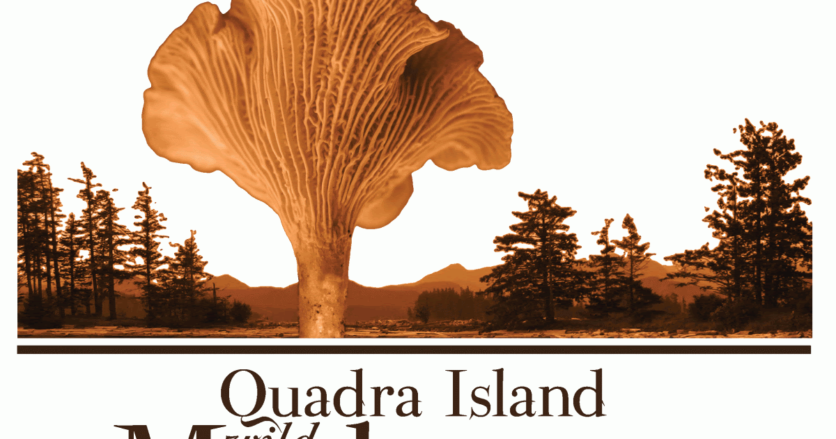 Vancouver Island Mycological Society Vancouver Island Mycological Society