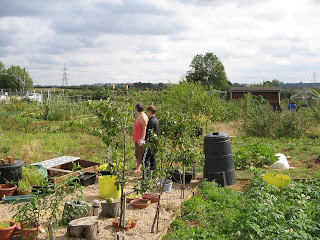 around the greenhouse