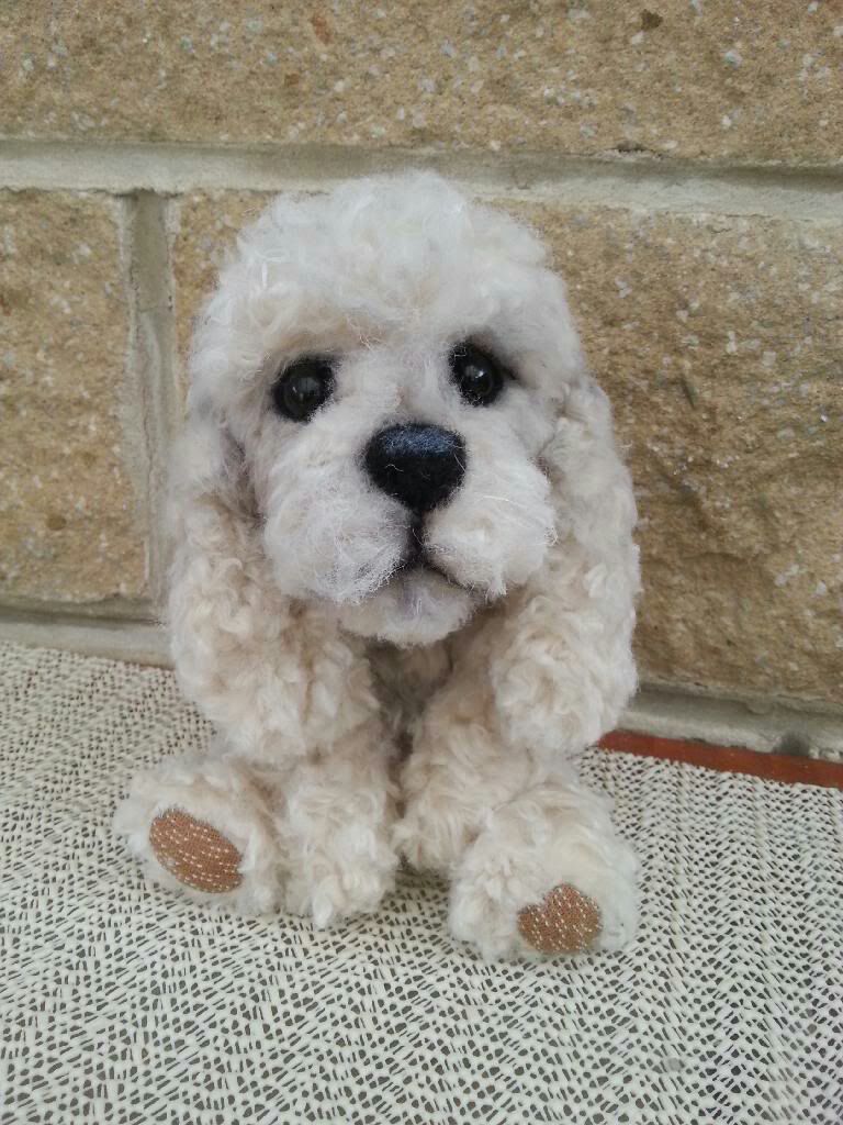 Poodle