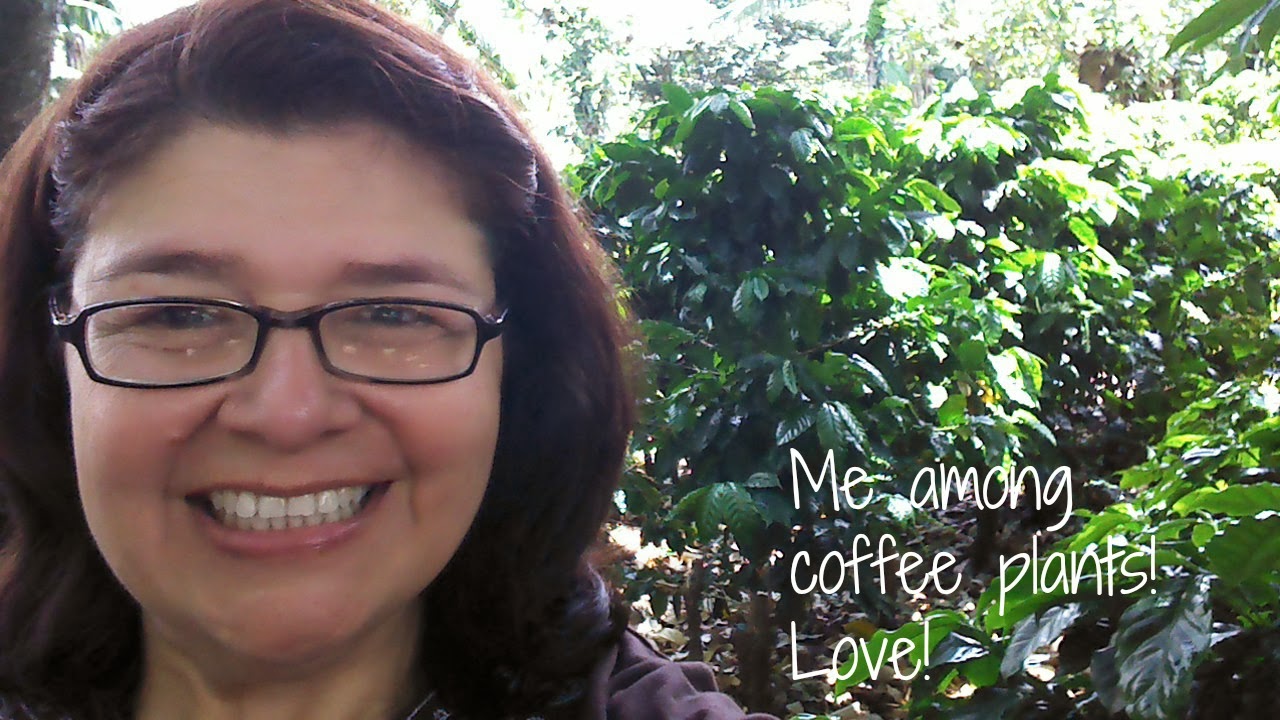 Britt S Cafe Augusta Maine Britt S Cafe Augusta Maine