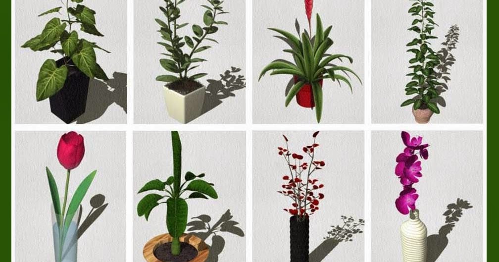 SKETCHUP TEXTURE Sketchup free 3d resources flowers collection 1