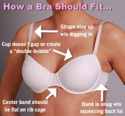 70 80 of women do not wear the right size bra what size bra do i wear