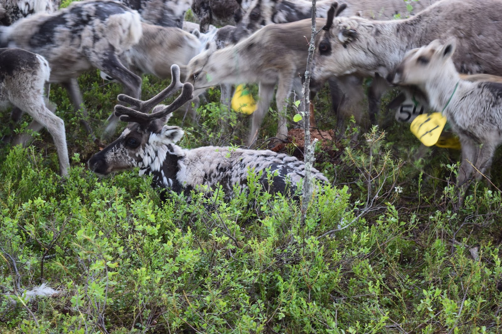 rencontres alternatives 3 rennes