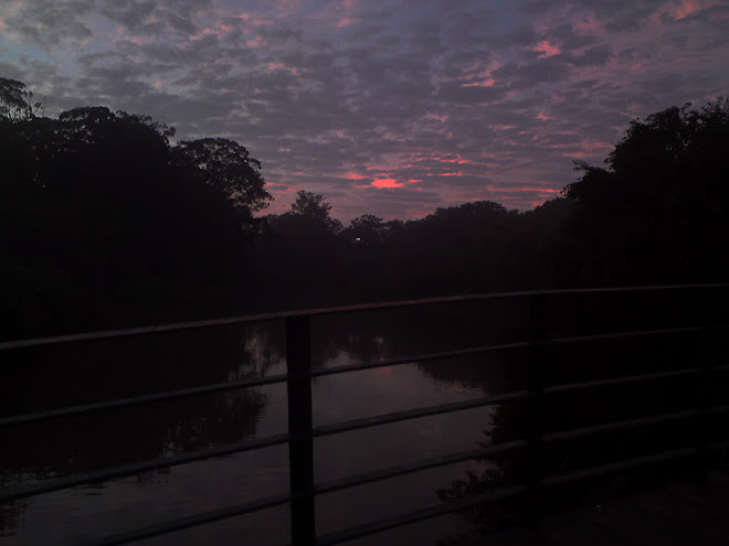 Good Morning São Paulo!